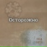 Кок оду