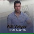 Adil Vəliyev