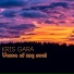 Kris Gara