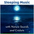 Crickets Sound Orchestra