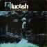 luc4sh feat. Fernando Favin