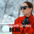 Bilbil