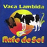 Banda Raio do Sol