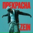ZEIN