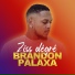 Brandon Palaxa feat. DJ Illans