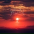 WDYN