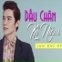 Lưu Chí Vỹ