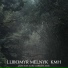 Lubomyr Melnyk