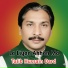 Talib Hussain Dard