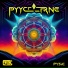 Sonic Tribe