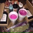 LVDIZZY, NIGHTKUSH, Aves Lyrics, D.Trace