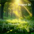 Project 26