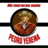 Pedro Yerena