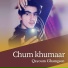 Qayoum Ghamgeen
