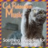 RelaxMyCat, Cat Music, Cat Music Dreams