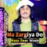 Raza Noor Wazir