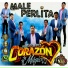 Grupo Corazón Mágico