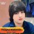 Naseer Zaib