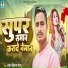 Ajay Deewana Palamu