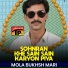 Mola Bukhsh Mari