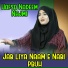 Hafsa Nadeem Najmi
