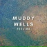 Muddy Wells