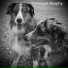 Finnegan Murphy