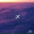 Air Mob feat. Marocs, AnjO 005, JIRAYA, holaanda