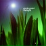 Ananda Project, Terrance Downs