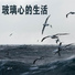 金夜绿