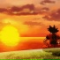 CLDY