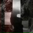 XXtim, Polymokryy
