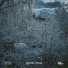 культ избранных cultofthechosen