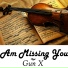 Gun X