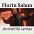 Florin Salam