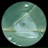 Peter M. Murray, Atmos