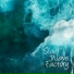 Slow Wave Factory
