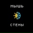 Мышь