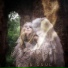 WindSoul