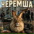 МЕМАЧ