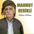 Mahmud Derikli