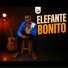 Elefante Bonito