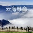 轻风弹者