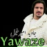 Javed Amirkhel