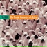 The Toraia Orchestra of Algiers