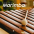 Marimba Carnaval del Ritmo