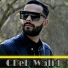 Cheb walid