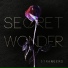 Secret Wonder