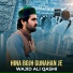 Wajid Ali Qasmi