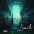 Amiel LS